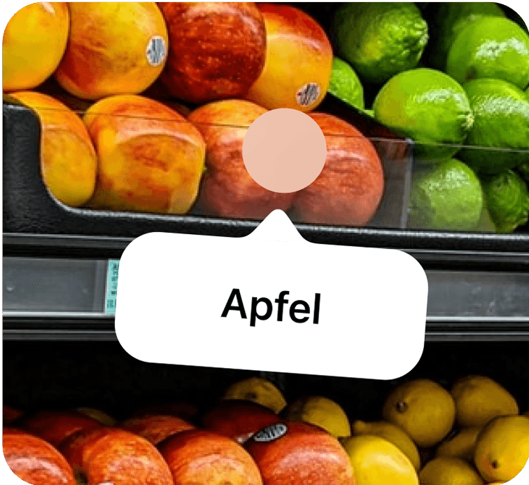 camera translations